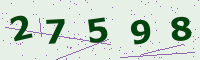 کد امنیتی