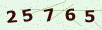 کد امنیتی